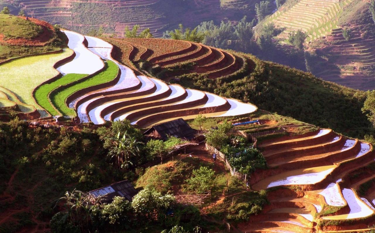 Auberge Dang Trung Hotel Sapa Dış mekan fotoğraf