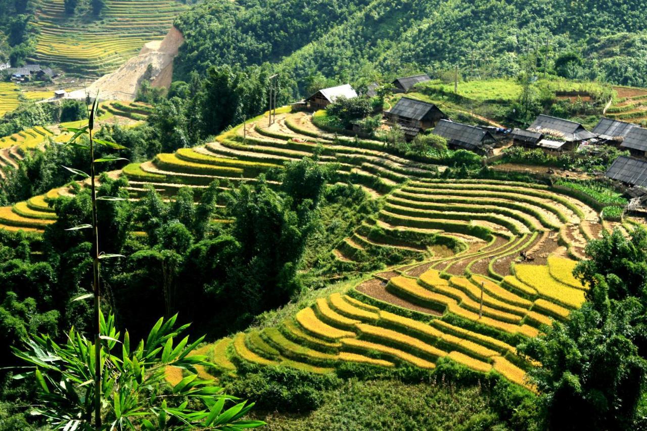 Auberge Dang Trung Hotel Sapa Dış mekan fotoğraf